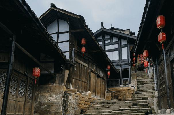 逃离白鸽之森